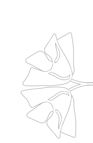 flower contact