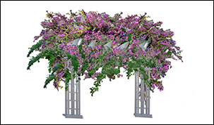link to photoshop renderings page